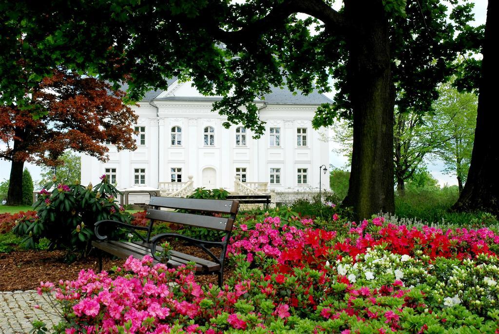 Hotel Palac Borynia Jastrzebie Zdroj Exterior photo